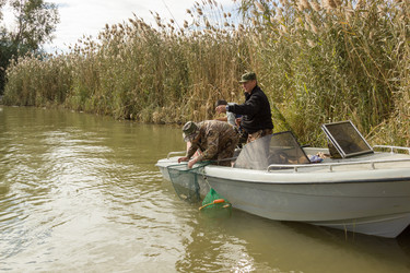 Similar image 10456329