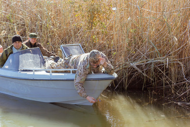 Similar image 10456331