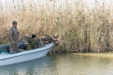 Similar image 10456333