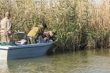 Similar image 10456335