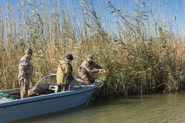 Similar image 10456336