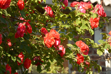 Similar image 10456344