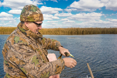 Similar image 10456353