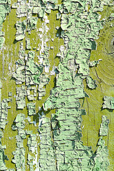 Similar image 10456373