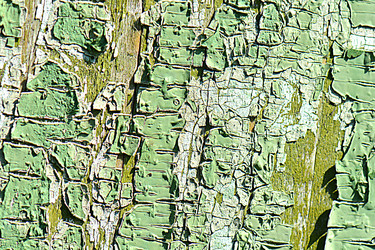 Similar image 10456377