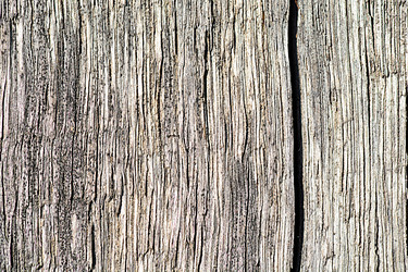 Similar image 10456380