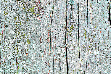 Similar image 10456381