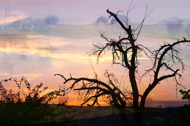 Similar image 10456388