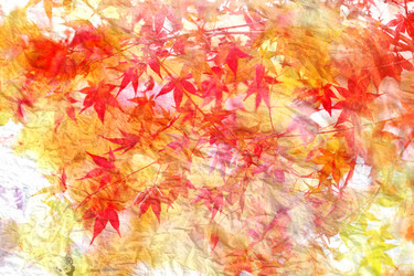 Similar image 10456399