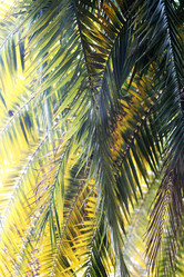 Similar image 10456401