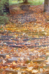 Similar image 10456408