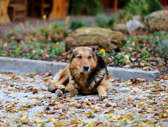 Similar image 10456417