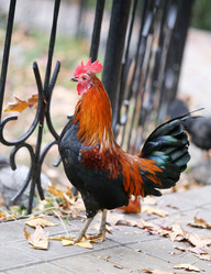 Similar image 10456418