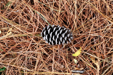 Similar image 10456421