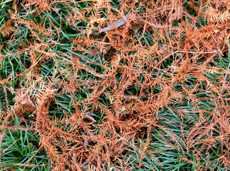 Similar image 10456423