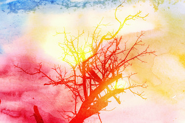 Similar image 10456424