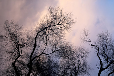 Similar image 10456429