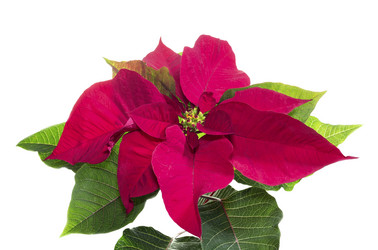 Similar image 10456477