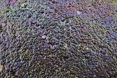 Similar image 10456496