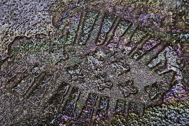 Similar image 10456497