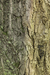 Similar image 10456501