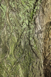 Similar image 10456504