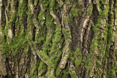 Similar image 10456505