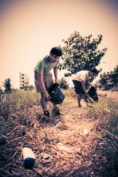 Similar image 10456544