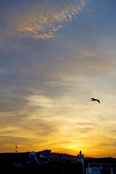 Similar image 10456598