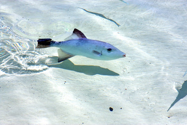 Similar image 10456603