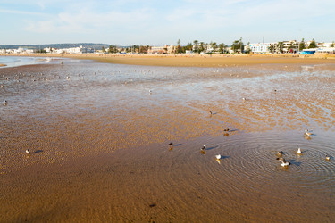 Similar image 10456618