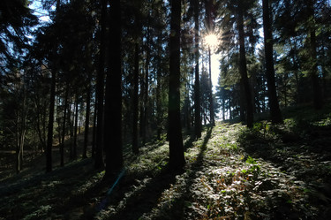 Similar image 10456619