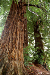 Similar image 10456621