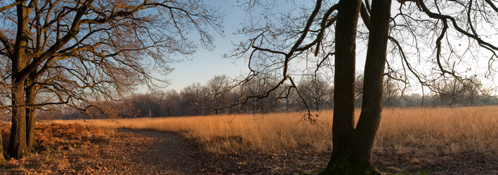 Similar image 10456623