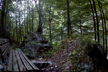 Similar image 10456627