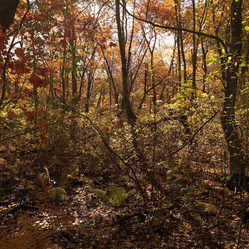 Similar image 10456629