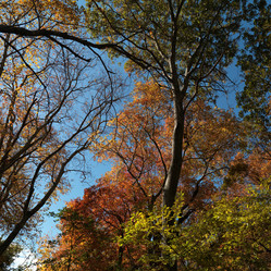 Similar image 10456630