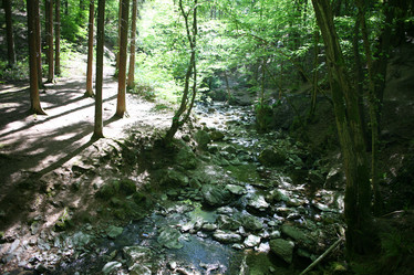 Similar image 10456631