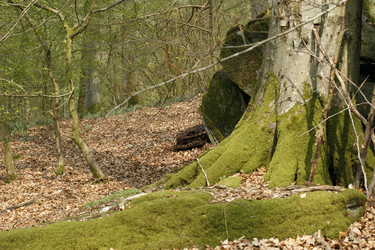 Similar image 10456633