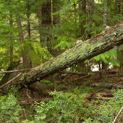 Similar image 10456634