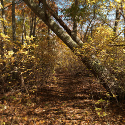 Similar image 10456635