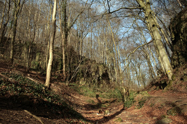 Similar image 10456636