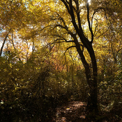 Similar image 10456637