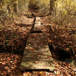 Similar image 10456638