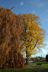 Similar image 10456639