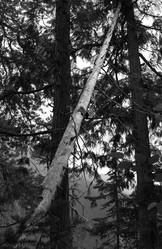 Similar image 10456640