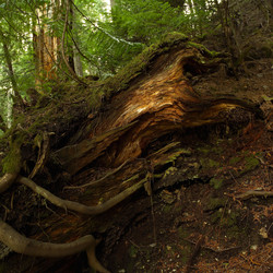 Similar image 10456642