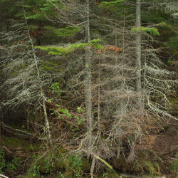 Similar image 10456643