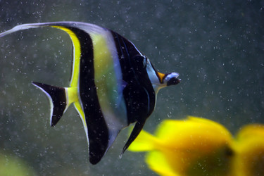 Similar image 10456644