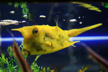 Similar image 10456645